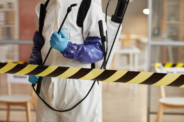 Professional Hoarding Cleanup technician working in Glen Cove, NY
